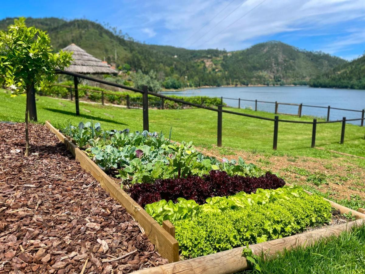 Campos River House Figueiro Dos Vinhos Luaran gambar